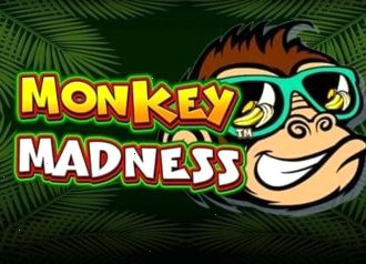 Игра Monkey madness казино заведение которое проверено годами